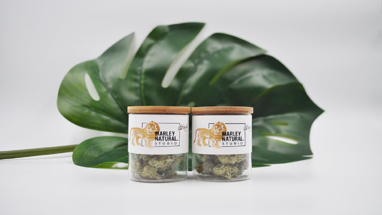 Bob Marley Natural Launches a New Hemp-Inspired Skin-Care Line