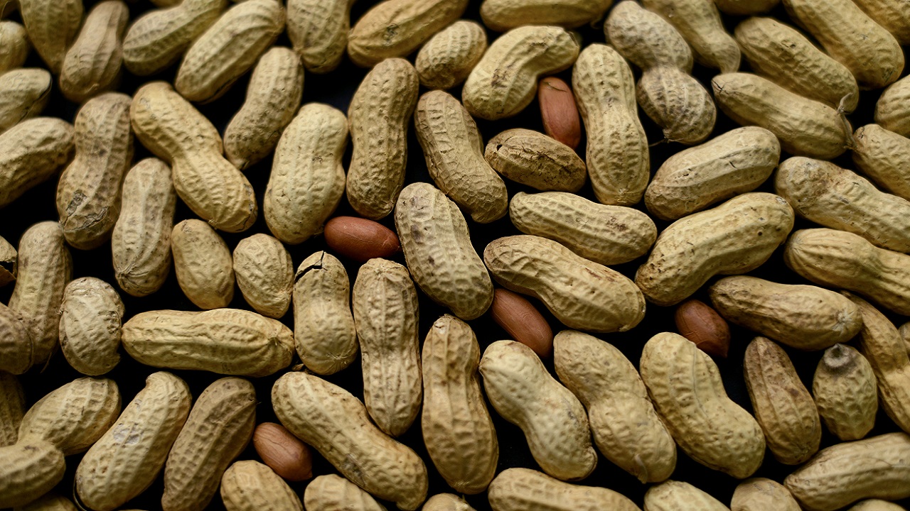 Signs Of Success In Peanut Allergy Treatment Loop Jamaica