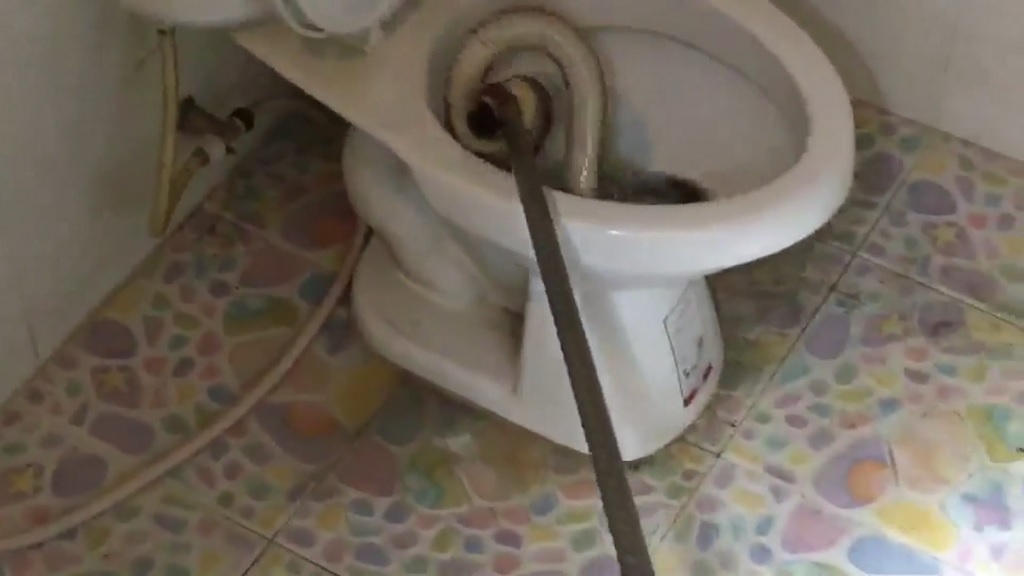 Snake found in woman's toilet