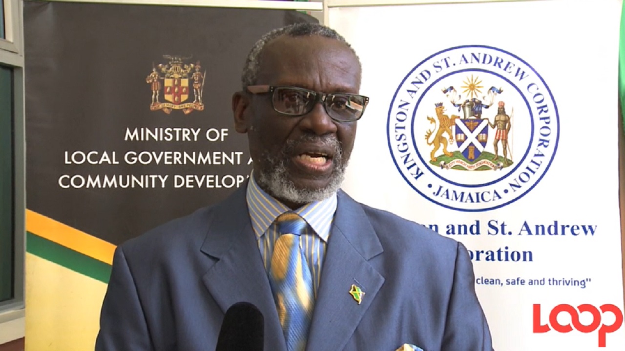 Local Government Minister, Desmond McKenzie.