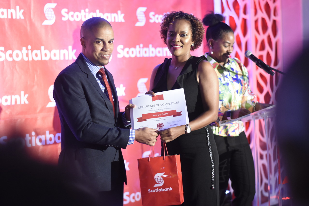 Three-way split for Scotiabank Vision Achiever top award | Loop Jamaica