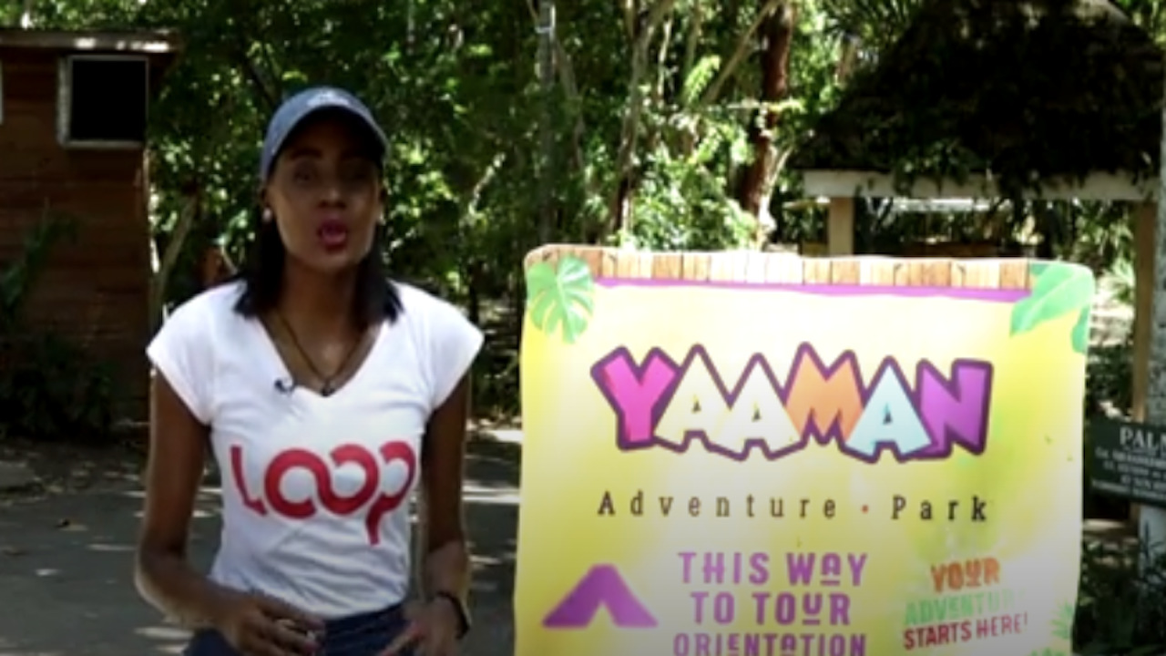 VIDEO: What to do this weekend? | Loop Jamaica