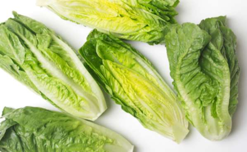 Don't eat romaine lettuce: Health Canada