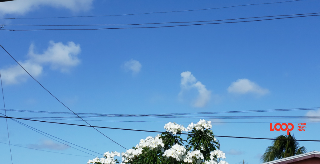 Barbados Weather Report Sunny Hot Christmas Day Loop News