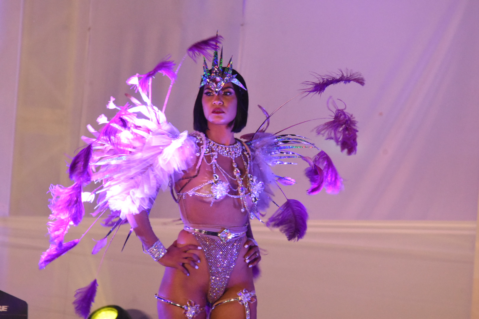 The Secrets to Creating a Spectacular Carnival Costume, According to  Designer Solange Govia - EBONY