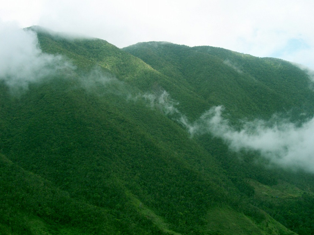 Blue and John Crow Mountains, Jamaica. 
Photo credit: Jamaica Conservation and Development Trust (JCDT)