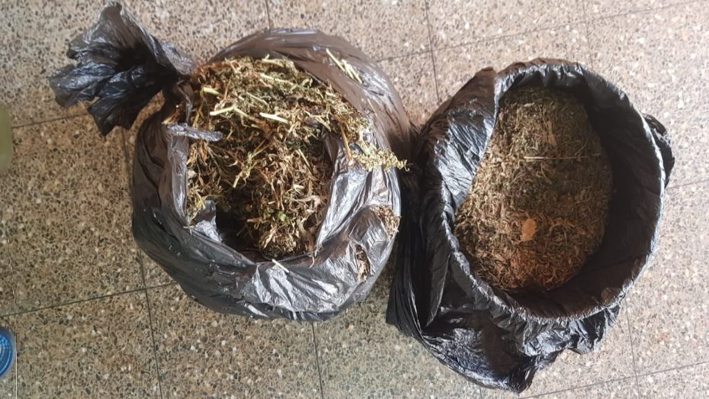 Three held for marijuana in Princes Town, Moruga thumbnail