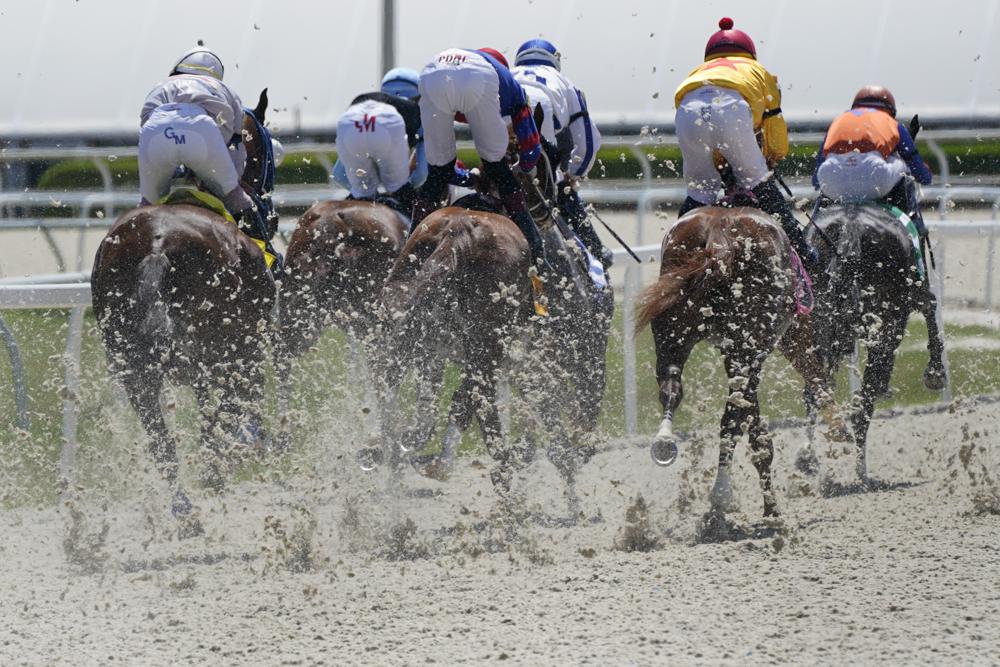 Horses on tapeta at Gulfstream Park