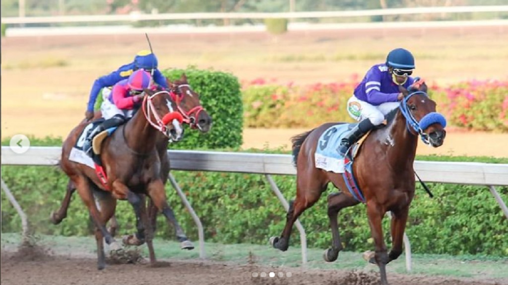 Brinks wins Pick 3 Super Challenge at Caymanas Park Loop Jamaica