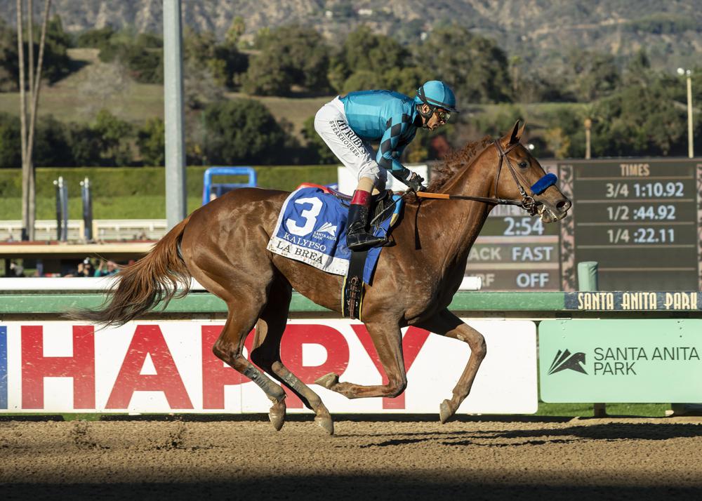 Tom Seaver the horse is a winner in racing debut at Santa Anita, Sports