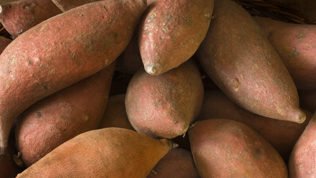 Princes Town man pleads guilty to stealing sweet potatoes thumbnail