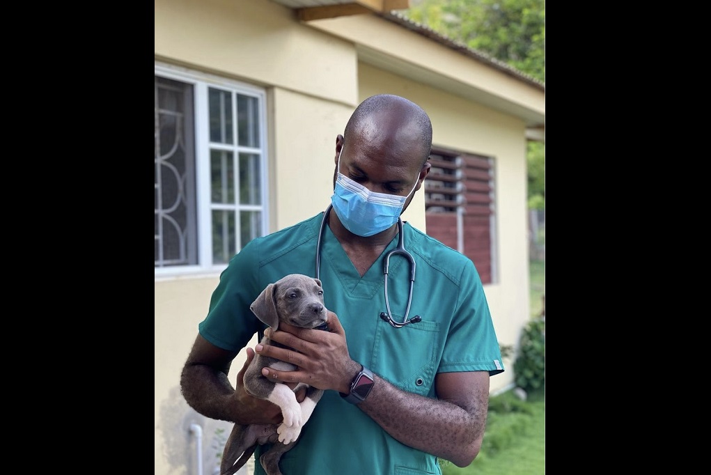 Pet therapy: Animals are healers | Loop Caribbean News