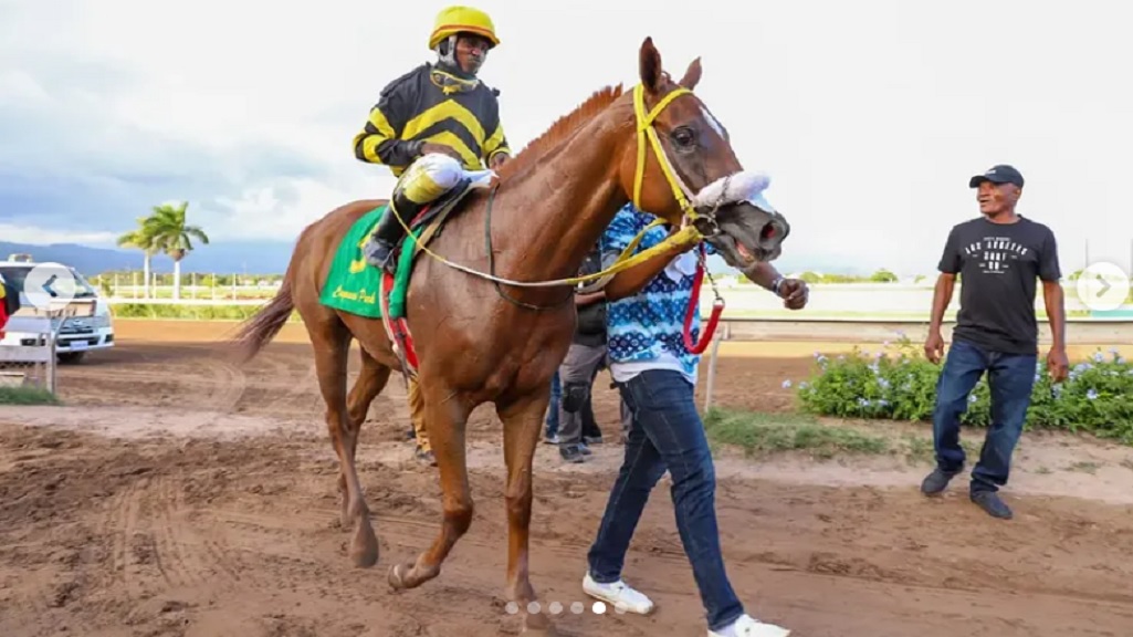 ATOMICA (Dane Dawkins) heads to the winners' enclosure after capturing the Portmore by a 12-and-a-quarter length at Caymanas Park on Saturday, May 7, 2022. (PHOTO: Caymanasracing).
