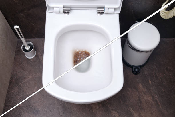 Comment bien nettoyer ses toilettes en 3min