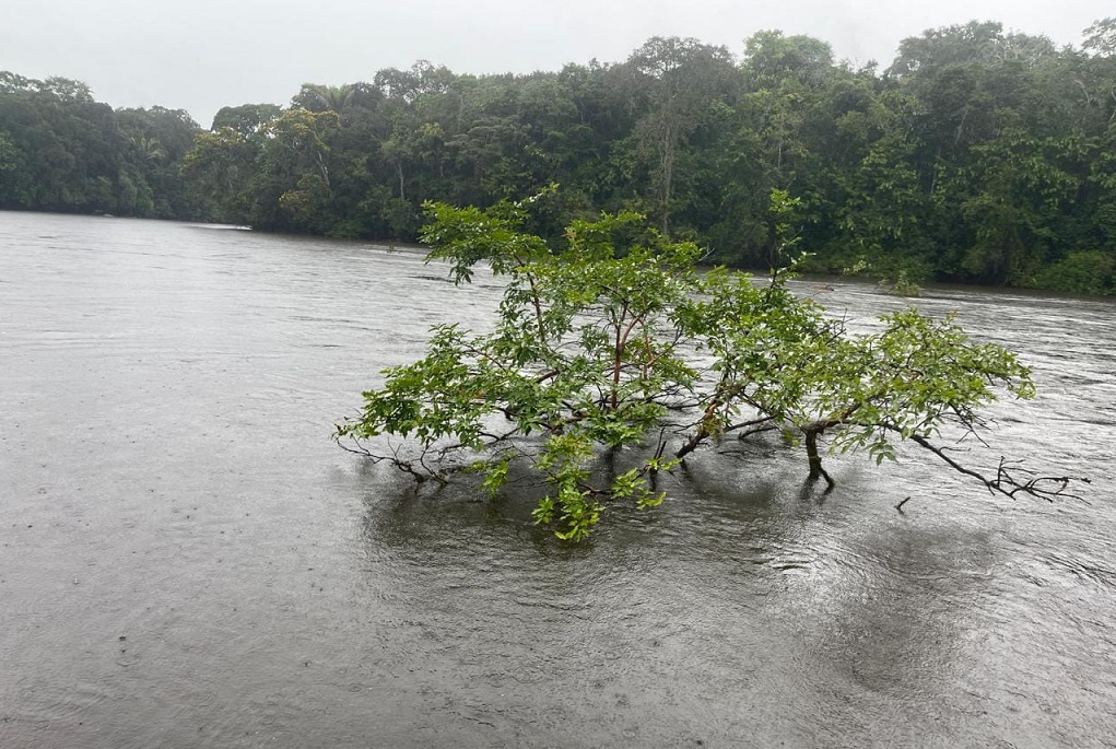 Guyana: Body of missing American tourist found in river