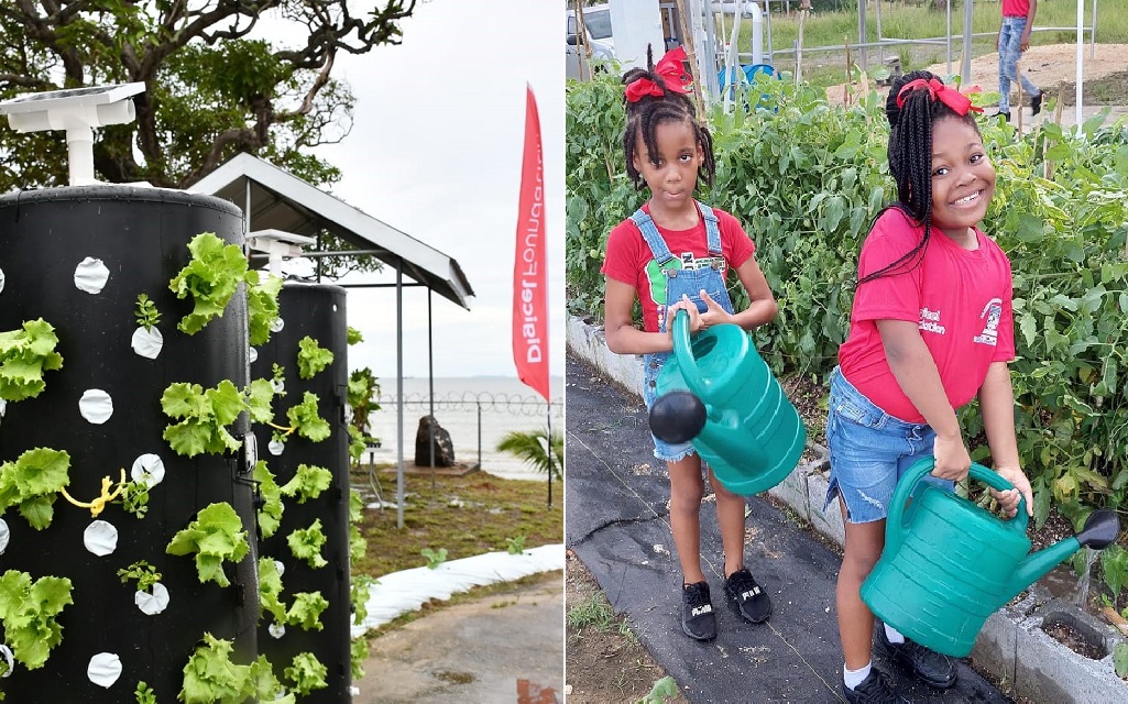L-R: Some of hydroponics units containing lettuce plants which were implemented as part of the ‘Solar Voltaic Hydroponic project’; two young girls from the La Brea Police Youth Club water some of the plants from the ‘Solar Voltaic Hydroponic project’. Photos: Digicel Foundation