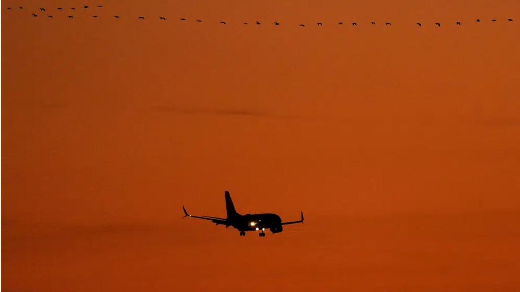 FILE - A Southwest Airlines passenger jet approaches Kansas City International Airport to land as geese fly overhead, Friday, December 30, 2022, in Kansas City, Mo. A computer outage at the Federal Aviation Administration brought flights to a standstill across the U.S. on Wednesday, with hundreds of delays quickly cascading through the system at airports nationwide. (AP Photo/Charlie Riedel, File)