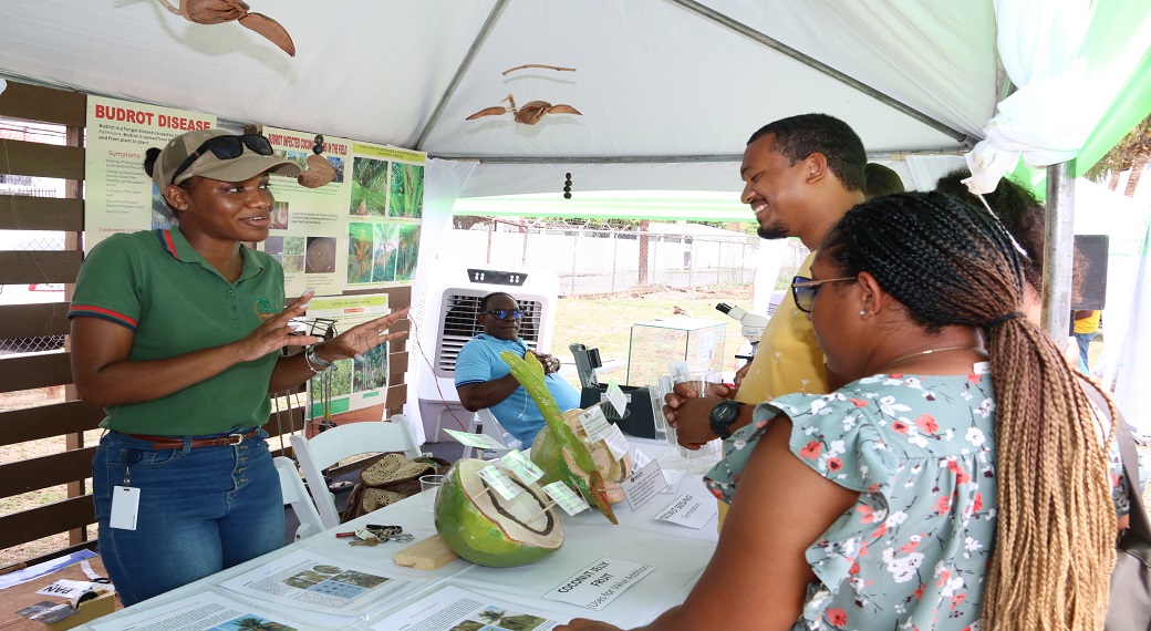 Botanist/plant breeder at the Coconut Industry Board, Chantelle Campbell-McTaggart, educates patrons on the versality of the coconut during Saturday’s (September 2) ‘World Coconut Day’ celebrations at the Coconut Industry Board headquarters in Kingston.