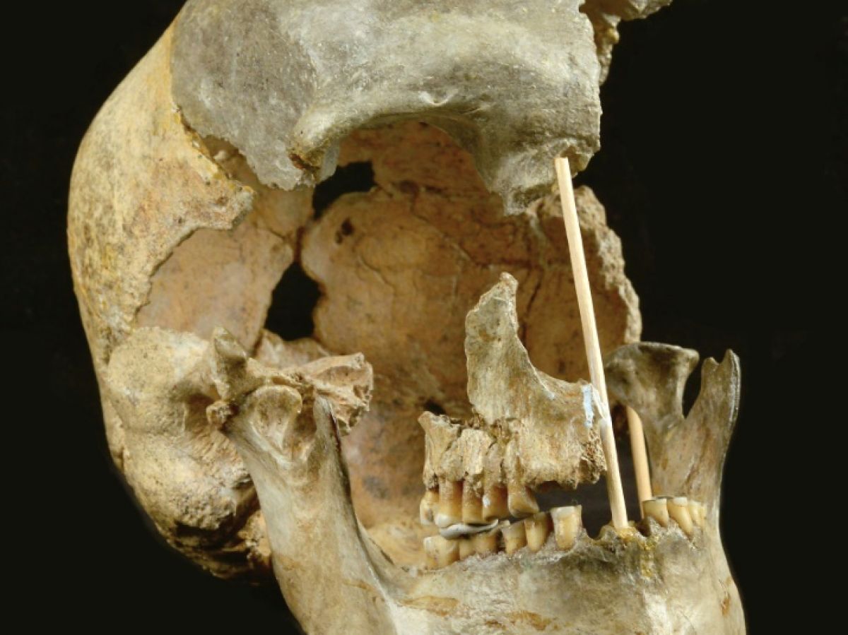 El cráneo de una mujer humana moderna de Zlaty Kun en el Museo Nacional de Praga, 7 de abril de 2021 MUSEO NACIONAL DE PRAGA/AFP/Archivo Martin FROUZ