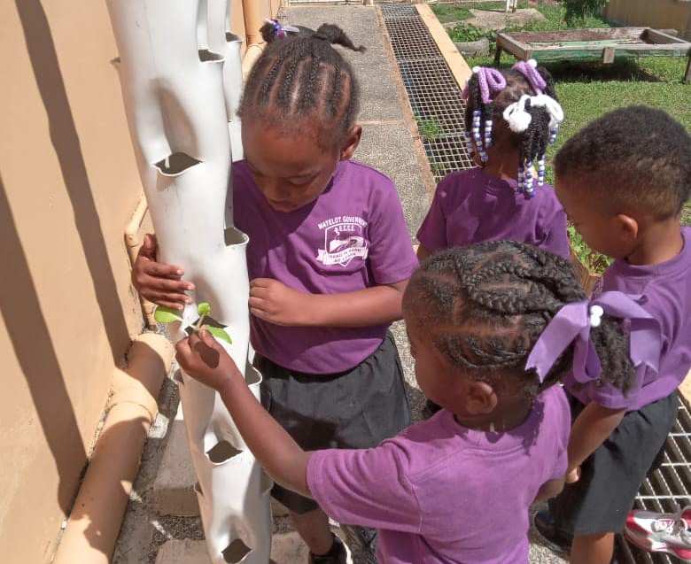Pupils at the Matelot Early Childhood Care and Education center examine hydroponic towers donated by the Matelot Police Youth Club this week. (Photo credit - Matelot Police Youth Cluc)