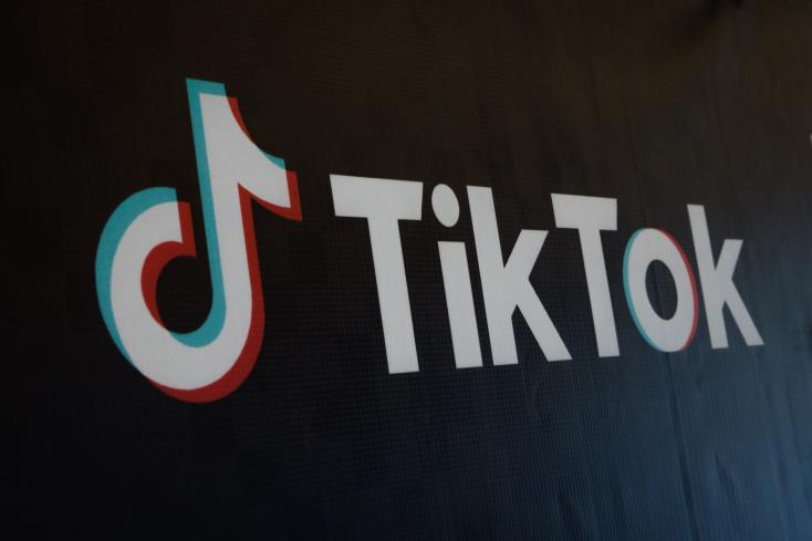 Universal Music Group (UMG) announces the removal of its songs from the social network TikTok YASUYOSHI CHIBA / AFP/ARCHIVES 