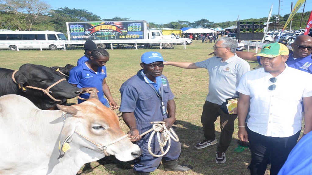 Minister of Agriculture, Fisheries and Mining, Floyd Green (right foreground), tours the showgrounds during the 67th staging of the Hague Agricultural and Industrial Show in Trelawny on Ash Wednesday. Photo: JIS)