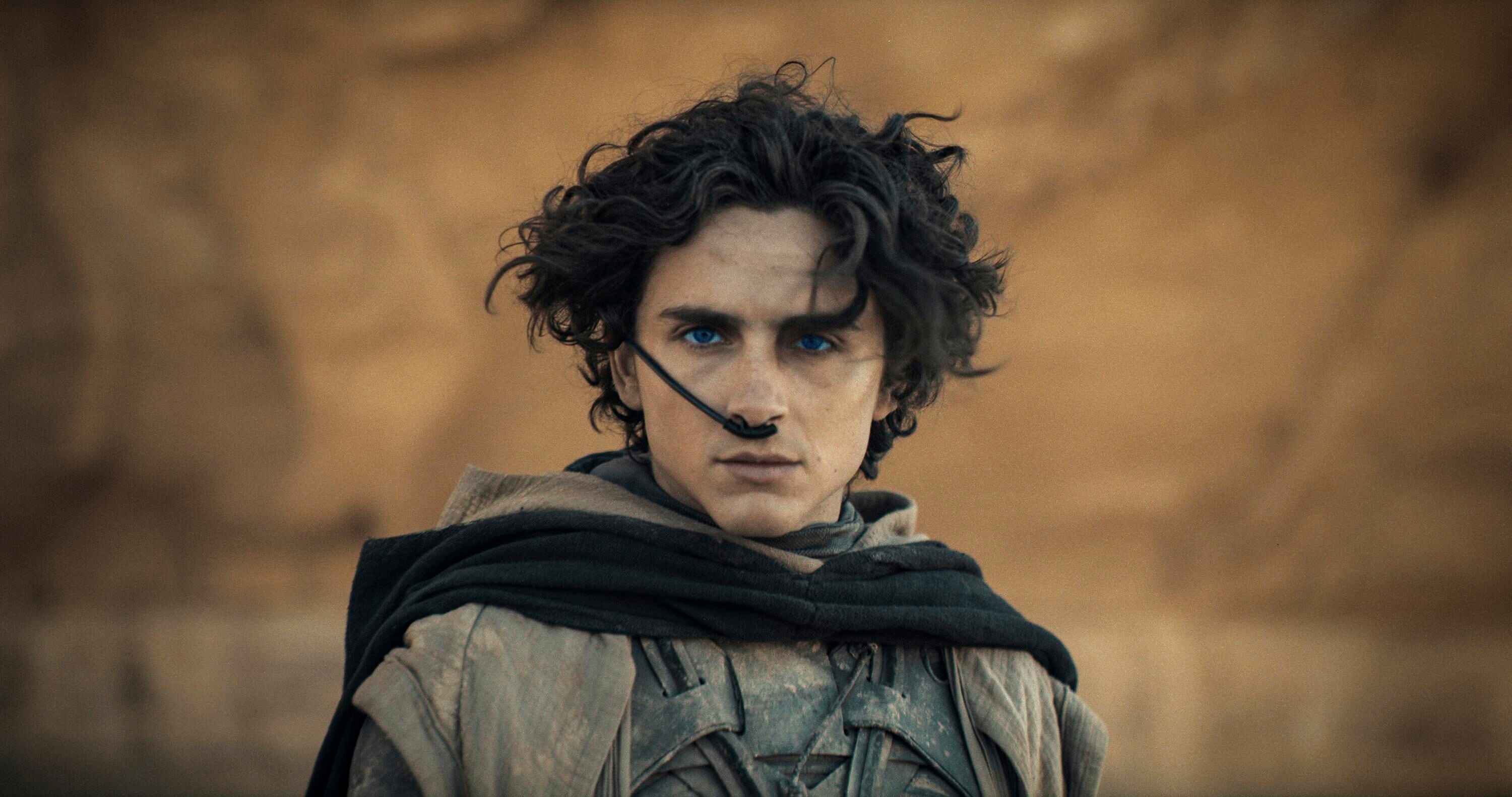 This image released by Warner Bros Pictures shows Timothee Chalamet in a scene from "Dune: Part Two." (Niko Tavernise/Warner Bros Pictures via AP)
