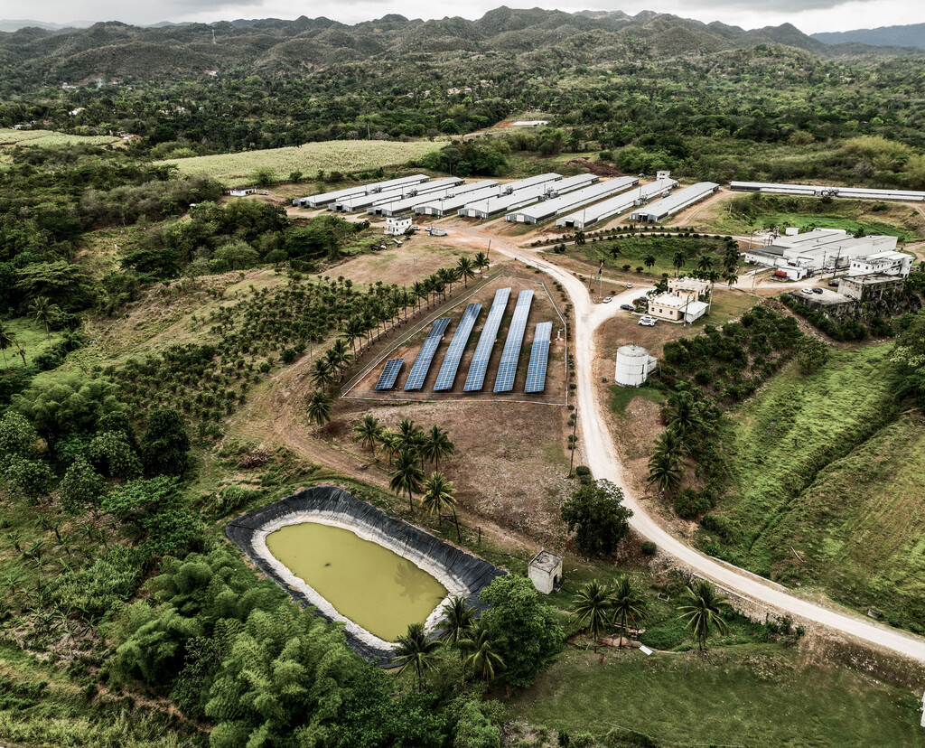 Aerial view of the Peninsula Hatchery & Farms in Linstead, showcasing its 0.30 MWp solar project, a sustainable initiative powering agricultural operations with renewable energy.