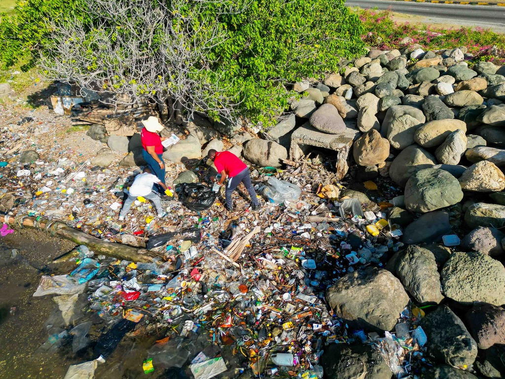Kingston Harbour cleanup