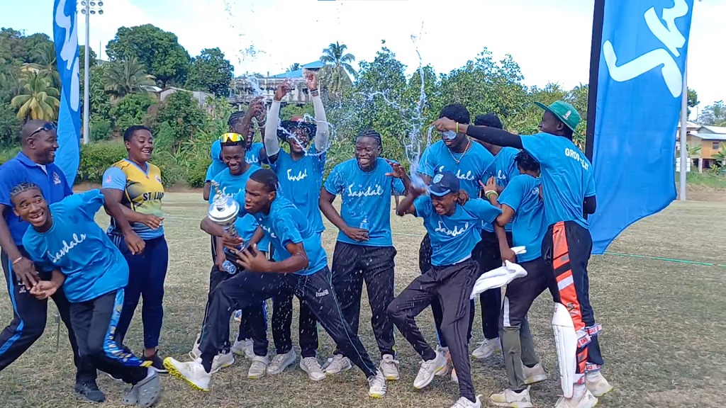 Young cricketers celebrate a victory