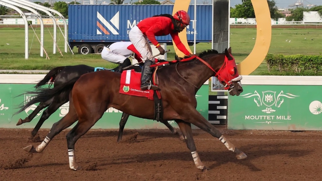 Fred The Great, ridden by jockey Robert Halledeen, triumphs over Provocativa (along the rails) with Tevin Foster to secure victory in division two of the Hubert Bartley Memorial, a seven-furlong race at Caymanas Park on Saturday, June 29, 2024. (PHOTO: caymanasracing, Reuters)
