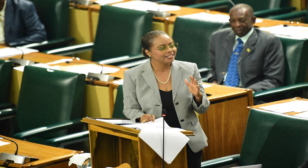 Minister of Legal and Constitutional Affairs, Marlene Malahoo Forte, during her contribution to the 2024/25 Sectoral Debate in the House of Representatives on Tuesday (June 11).
