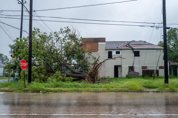 A tree is blown down by strong winds during Hurricane Beryl on July 8, 2024 in Houston, Texas BRANDON BELL / GETTY/AFP 