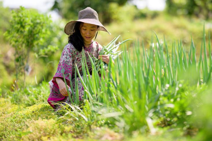 YouTuber Seen Aromi harvests green onions near her home in Gyeonggi-do province on May 29, 2024 in South Korea ANTHONY WALLACE / AFP 