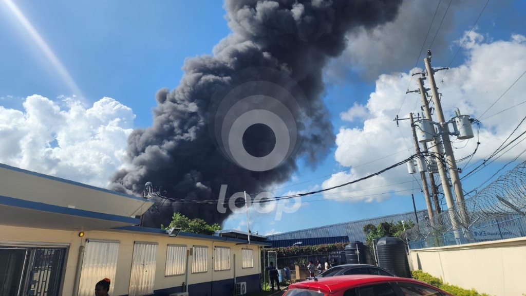 Pure National and Azan's incurred extensive damage after a major fire at their facilities on  Ashenheim Road, Kingston on Monday.