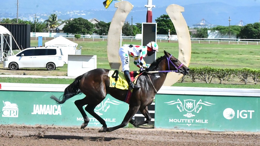 UNSPUN, ridden by Christopher Mamdeen, wins the seven-furlong Mr Sensational Trophy for the $2m BGLC-TOBA Millionaires Series bonus at Caymanas Park on Saturday, November 30, 2024. (PHOTO: Contributed).