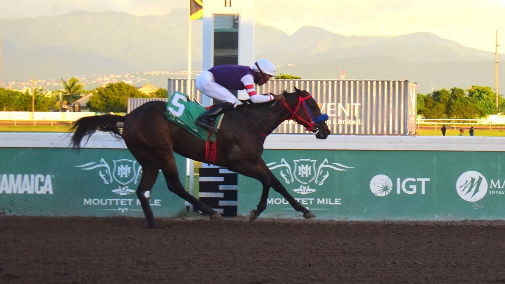 Bootylicious, ridden by Reyan Lewis, cruises to victory in the Ahwhofah Sprint over six furlongs at Caymanas Park on Saturday, December 14, 2024. (PHOTO: Contributed).