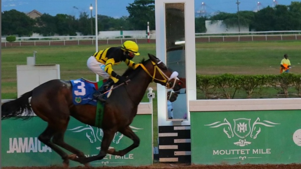 DIGITAL ONE, ridden by 2022 champion jockey Dane Dawkins, powers to victory in the Boxing Day Sprint Trophy over six-and-a-half furlongs at Caymanas Park, December 26, 2024. (PHOTO: caymanasracing).