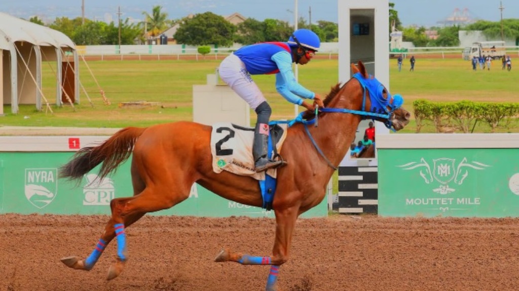 Jockey Raddesh Roman steers Unruly Boss to victory in the fourth race at Caymanas Park on Thursday's December 26, 2024. The win marked the first of three for Roman, who widened his lead over rival Tevin Foster to three victories ahead of Saturday’s season-ending race card. (PHOTO: caymanasracing).