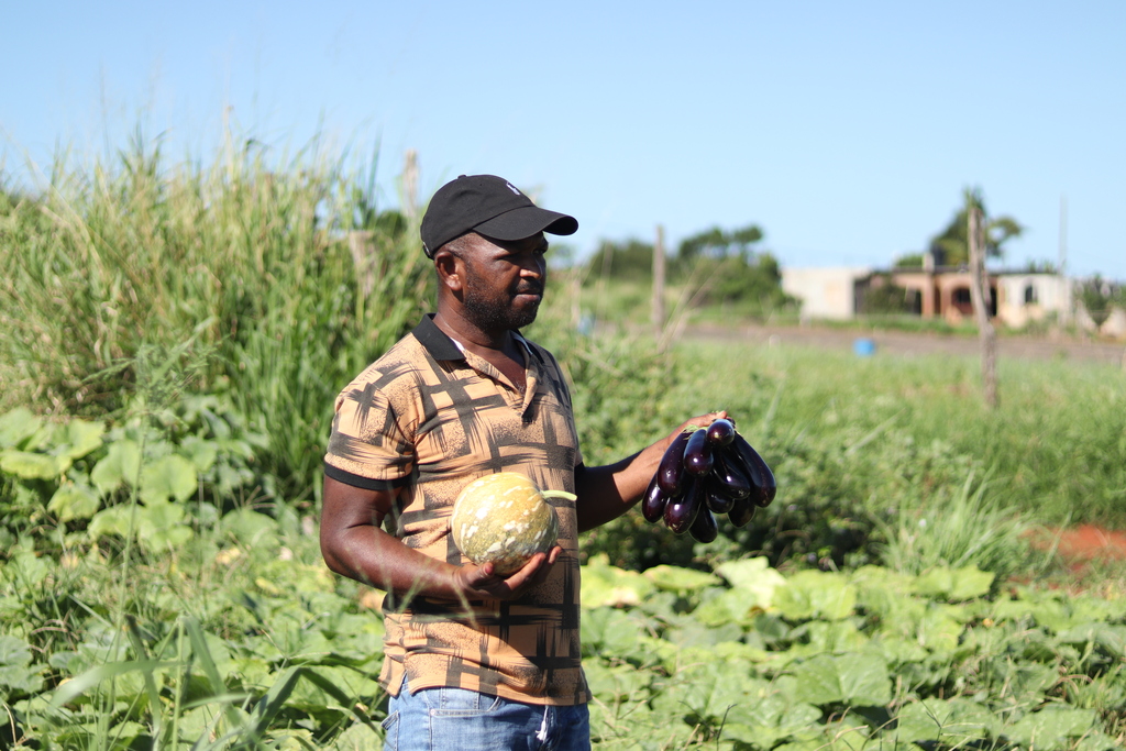 Vegetable farmer Ranford Blake, one of 20 farmers in Treasure Beach to receive financial support from the Sandals Foundation under the Humanitarian Assistance programme of the Canada Fund for Local Initiatives.