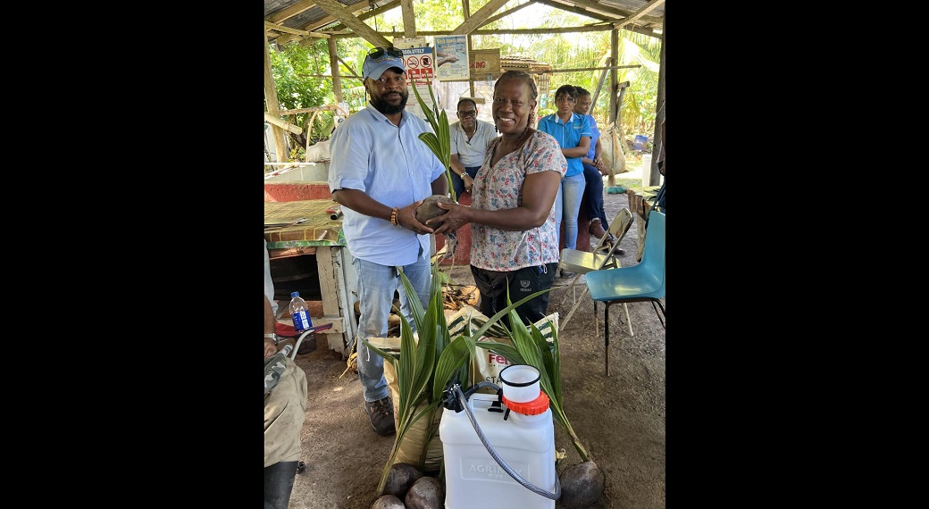 Chief Executive Officer of the Coconut Industry Board (CIB), Shaun Cameron (left), presents input supplies to St Mary coconut farmer Hermine Campbell, recently, to support Hurricane Beryl recovery efforts. 