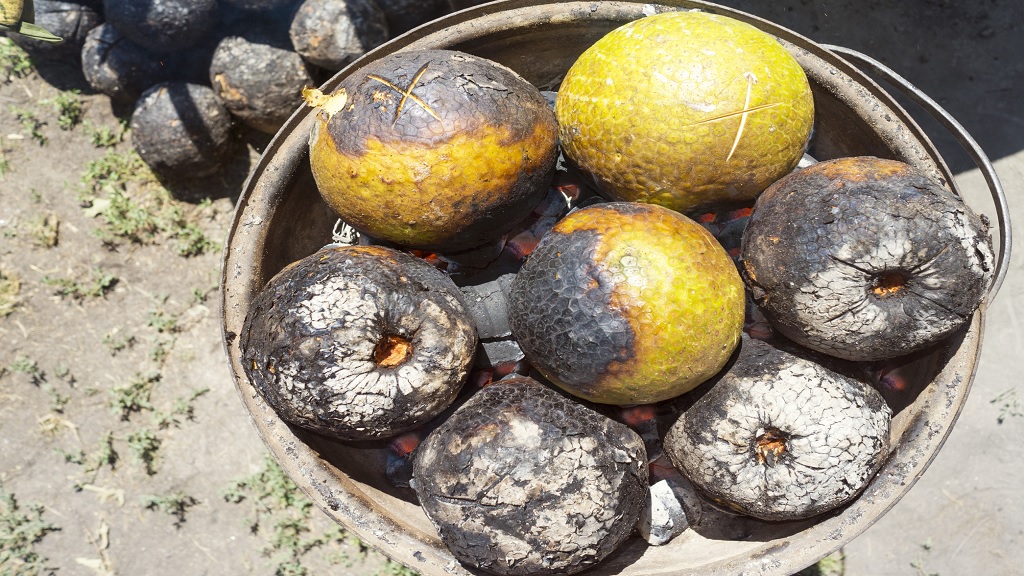 Roast Breadfruit and Doctor fish Jamaica 