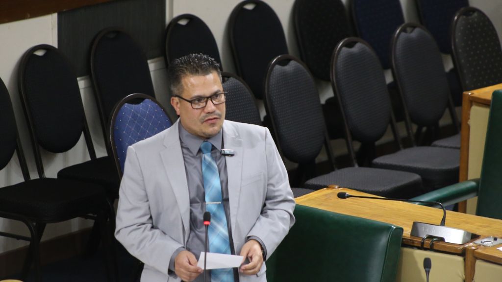 Minister Without Portfolio in the Ministry of Economic Growth and Job Creation, Matthew Samuda, addresses the House of Representatives on Tuesday, January 14, 2025. (Photo: Llewellyn Wynter)